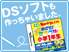 DSソフト