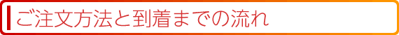 ご注文方法と到着までの流れ